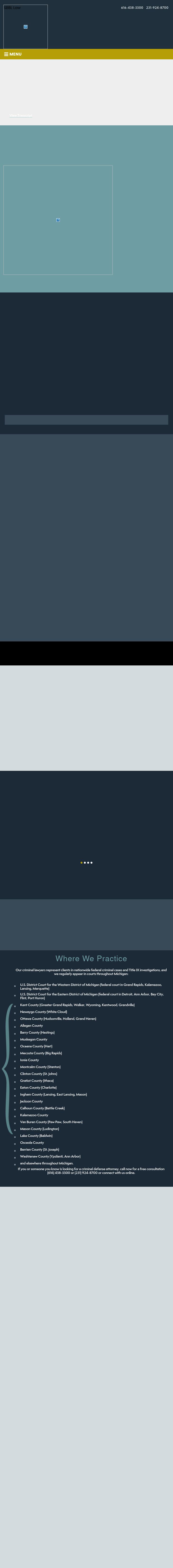 Springstead Bartish & Borgula Law, P.L.L.C - Fremont MI Lawyers