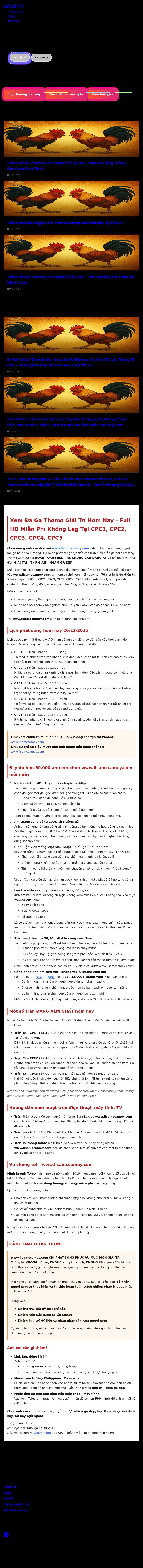 Lisa K. McCamey, Attorney at Law - Santa Cruz CA Lawyers